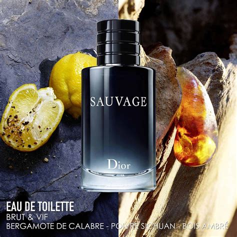 dior sauvage de toilette|Dior Sauvage sephora.